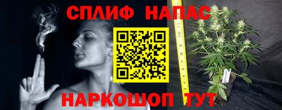 каннабис Кимры
