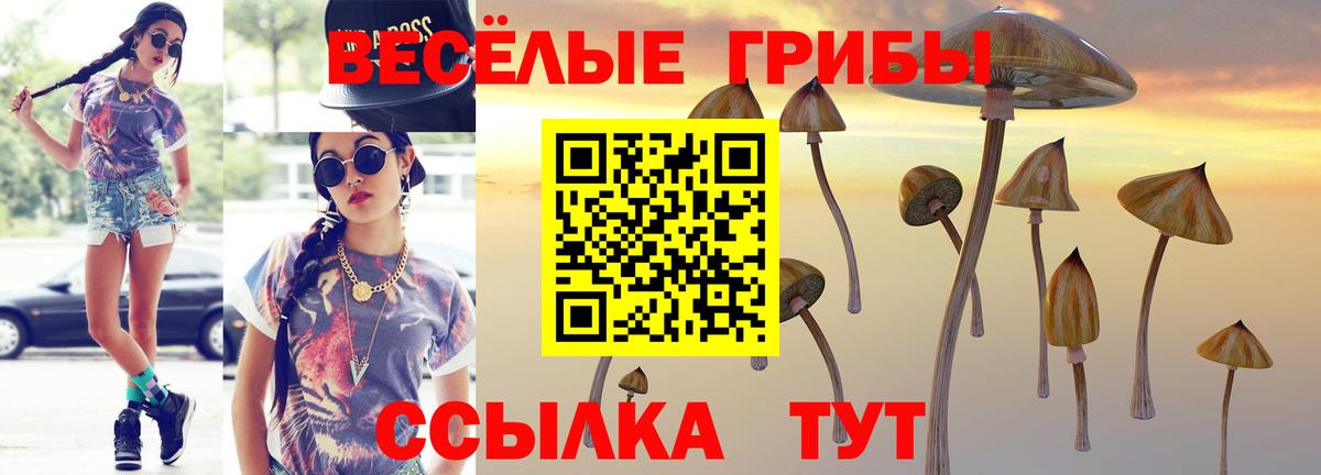 Галлюциногенные грибы MAGIC MUSHROOMS  Галлюциногенные грибы GOLDEN TEACHER  Королёв  Вход с VPN 